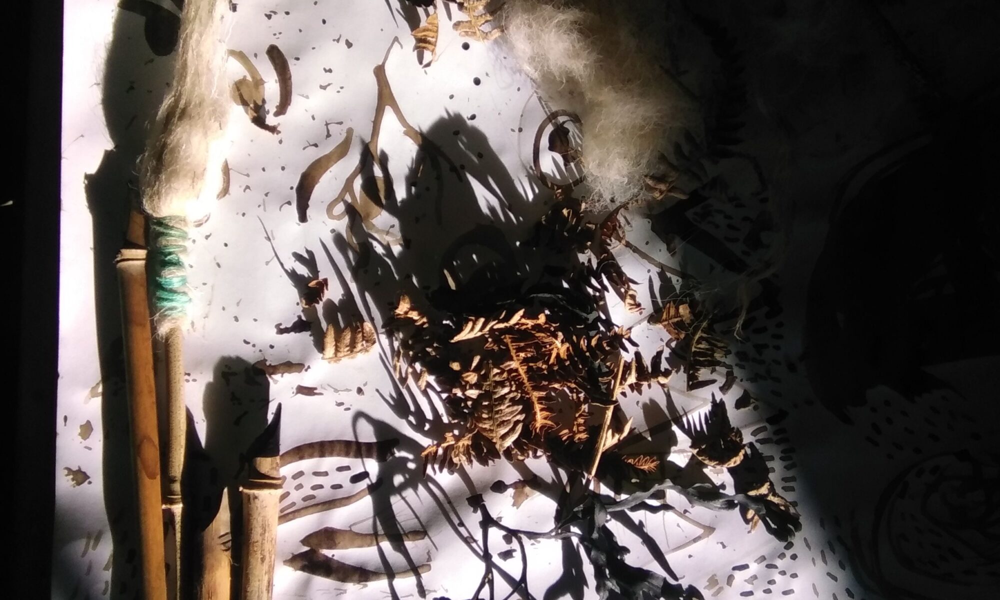 On the left, a paint brush made with sheep's wool and three pens, all made with bamboo. They rest on a white paper drawn with fluid brown marks, the ink is pomegranate ink. A cluster of dried rushes project shades on the paper, while the top right corner of the paper is darkened by a shadow.