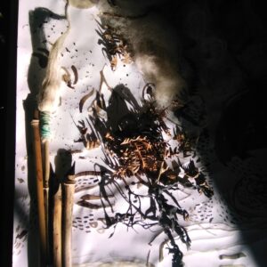 On the left, a paint brush made with sheep's wool and three pens, all made with bamboo. They rest on a white paper drawn with fluid brown marks, the ink is pomegranate ink. A cluster of dried rushes project shades on the paper, while the top right corner of the paper is darkened by a shadow.